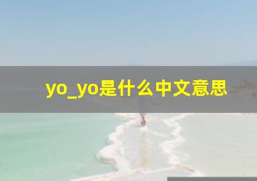 yo_yo是什么中文意思