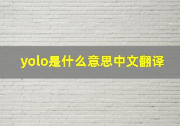 yolo是什么意思中文翻译