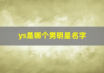 ys是哪个男明星名字