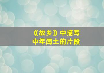 《故乡》中描写中年闰土的片段