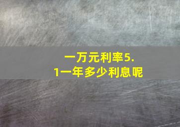 一万元利率5.1一年多少利息呢