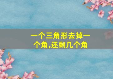 一个三角形去掉一个角,还剩几个角