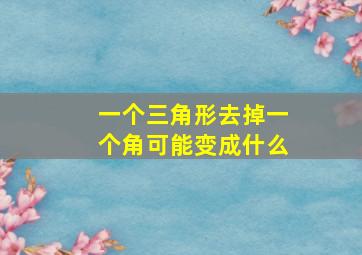 一个三角形去掉一个角可能变成什么