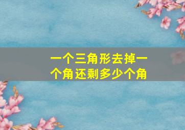 一个三角形去掉一个角还剩多少个角