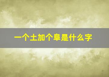 一个土加个阜是什么字