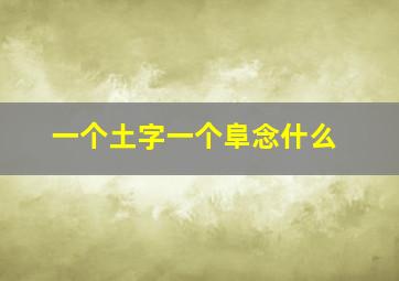 一个土字一个阜念什么