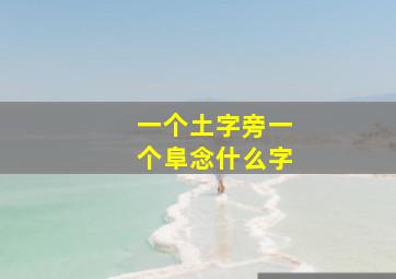 一个土字旁一个阜念什么字