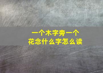 一个木字旁一个花念什么字怎么读