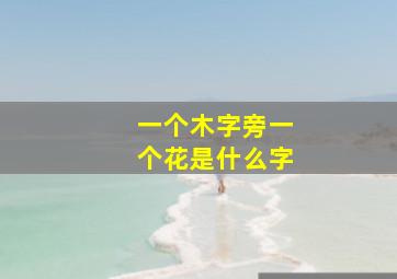 一个木字旁一个花是什么字