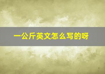 一公斤英文怎么写的呀