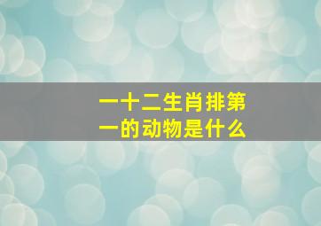 一十二生肖排第一的动物是什么