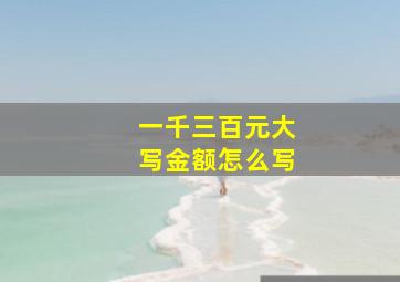 一千三百元大写金额怎么写