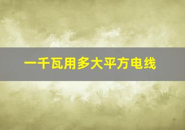 一千瓦用多大平方电线