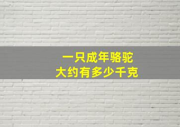 一只成年骆驼大约有多少千克