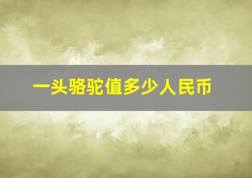 一头骆驼值多少人民币