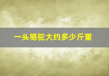 一头骆驼大约多少斤重