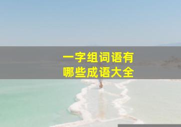 一字组词语有哪些成语大全