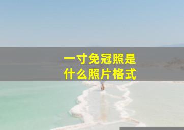 一寸免冠照是什么照片格式