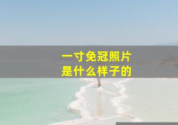 一寸免冠照片是什么样子的