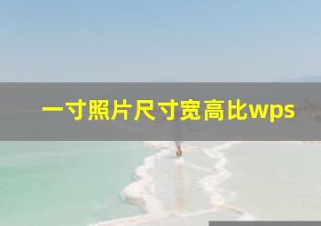 一寸照片尺寸宽高比wps