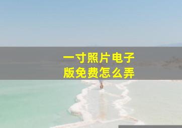 一寸照片电子版免费怎么弄