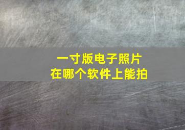 一寸版电子照片在哪个软件上能拍