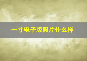 一寸电子版照片什么样