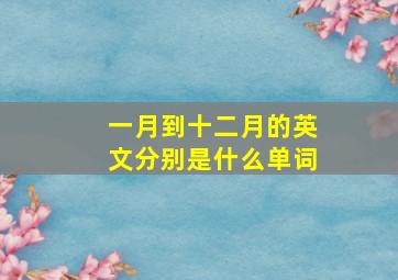 一月到十二月的英文分别是什么单词