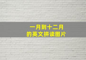 一月到十二月的英文拼读图片