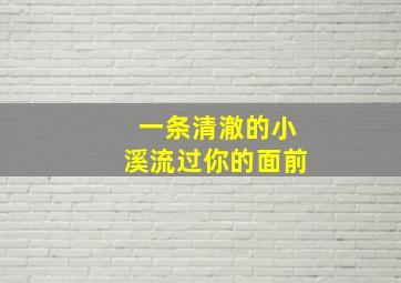 一条清澈的小溪流过你的面前