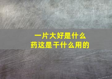 一片大好是什么药这是干什么用的