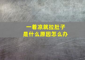 一着凉就拉肚子是什么原因怎么办