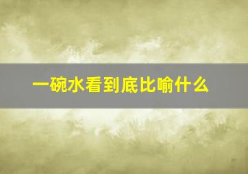 一碗水看到底比喻什么