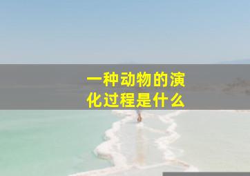 一种动物的演化过程是什么