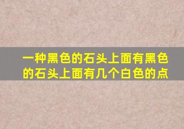 一种黑色的石头上面有黑色的石头上面有几个白色的点