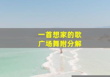 一首想家的歌广场舞附分解