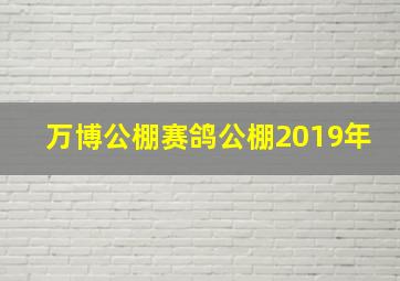 万博公棚赛鸽公棚2019年