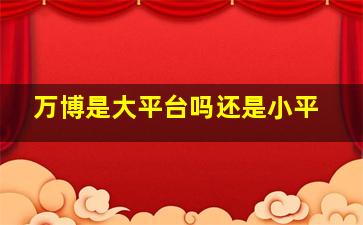 万博是大平台吗还是小平