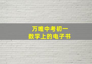 万唯中考初一数学上的电子书