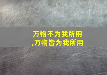 万物不为我所用,万物皆为我所用