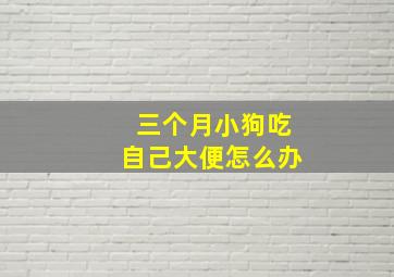 三个月小狗吃自己大便怎么办