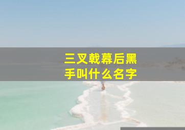 三叉戟幕后黑手叫什么名字