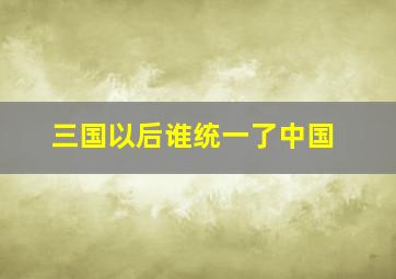 三国以后谁统一了中国