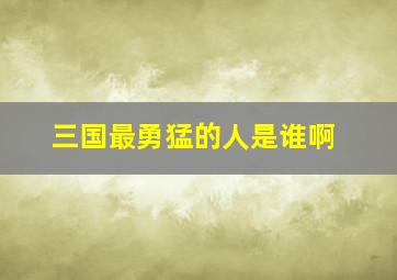 三国最勇猛的人是谁啊