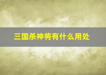 三国杀神将有什么用处