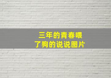 三年的青春喂了狗的说说图片