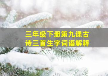 三年级下册第九课古诗三首生字词语解释