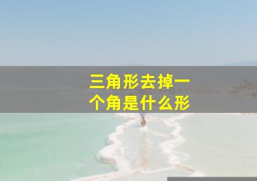 三角形去掉一个角是什么形