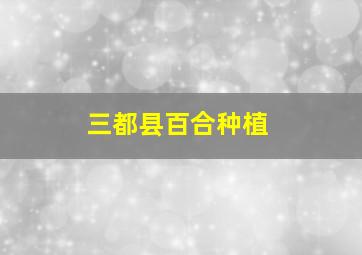 三都县百合种植