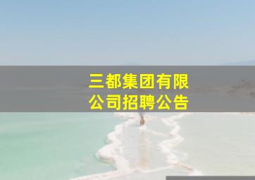 三都集团有限公司招聘公告